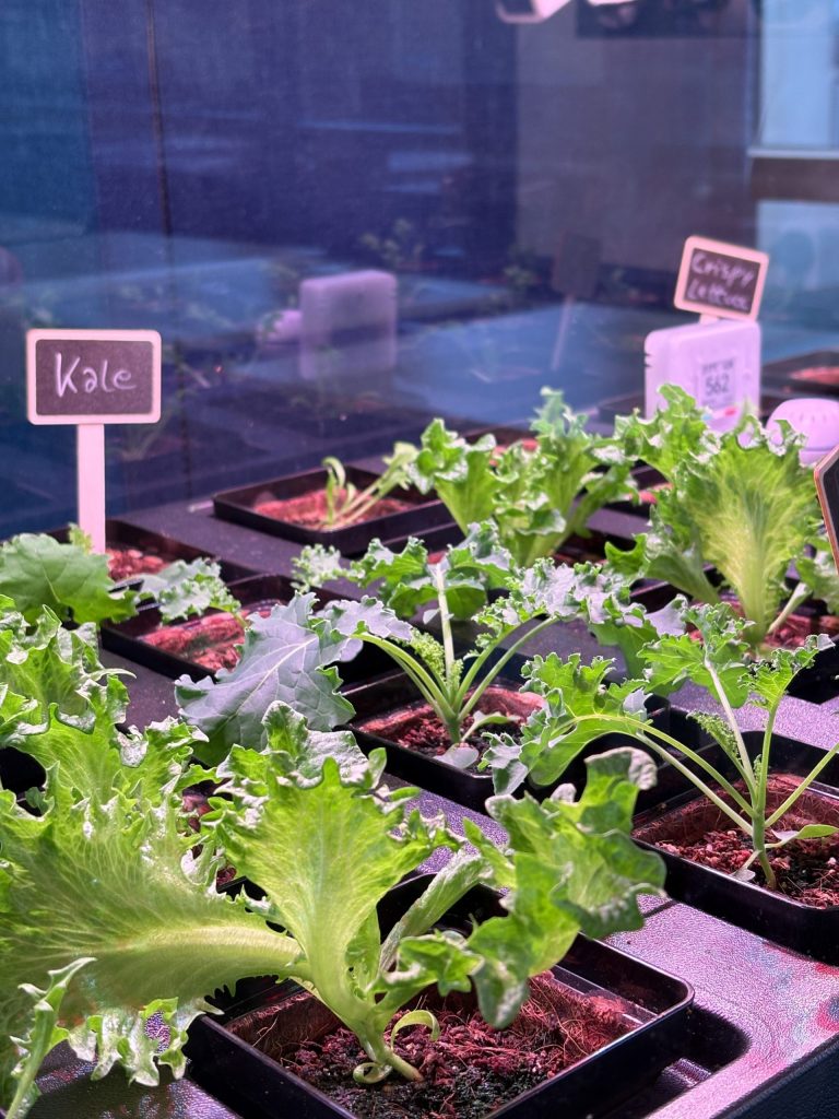 Vegger vertical farm at KTH, IVL